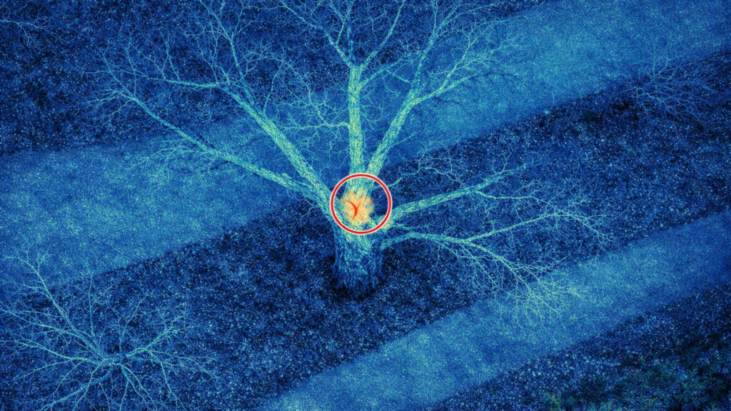 管理判断への活用