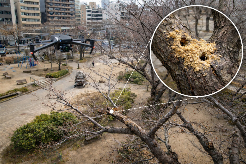 高所部の被害痕跡をドローンで俯瞰確認