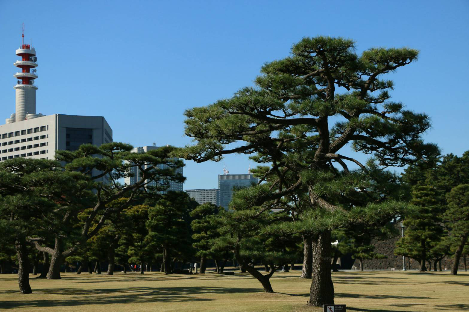 観測条件と診断特性