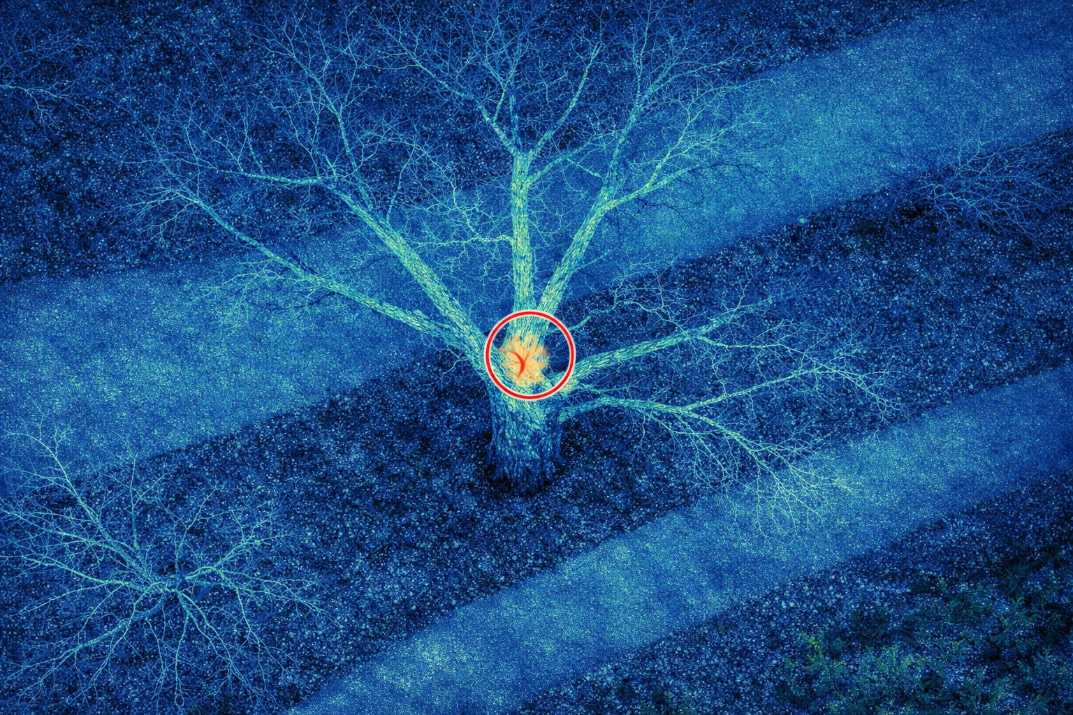 解析結果の活用用途