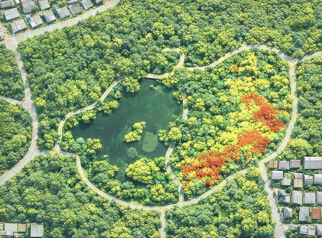 植生活性解析（NDVI）