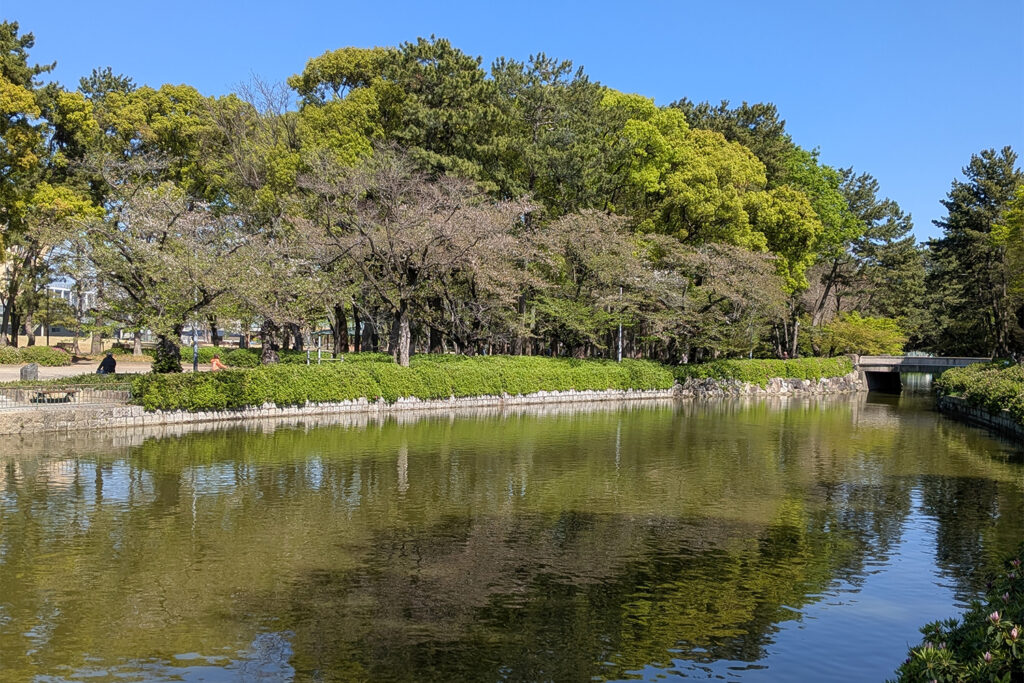 河川緑地・調整池周辺